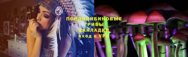 PSILOCYBIN Осташков