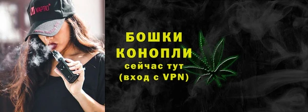 PSILOCYBIN Осташков