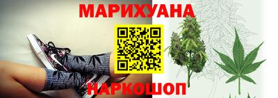 гидра Гатчина