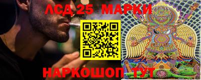 гидра Гатчина