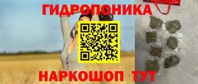 PSILOCYBIN Кандалакша