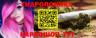 PSILOCYBIN Кандалакша