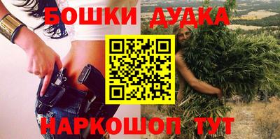 гидра Гатчина