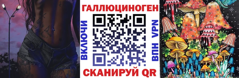 Галлюциногенные грибы Psilocybe  omg ссылки  Ртищево  что такое наркотик 
