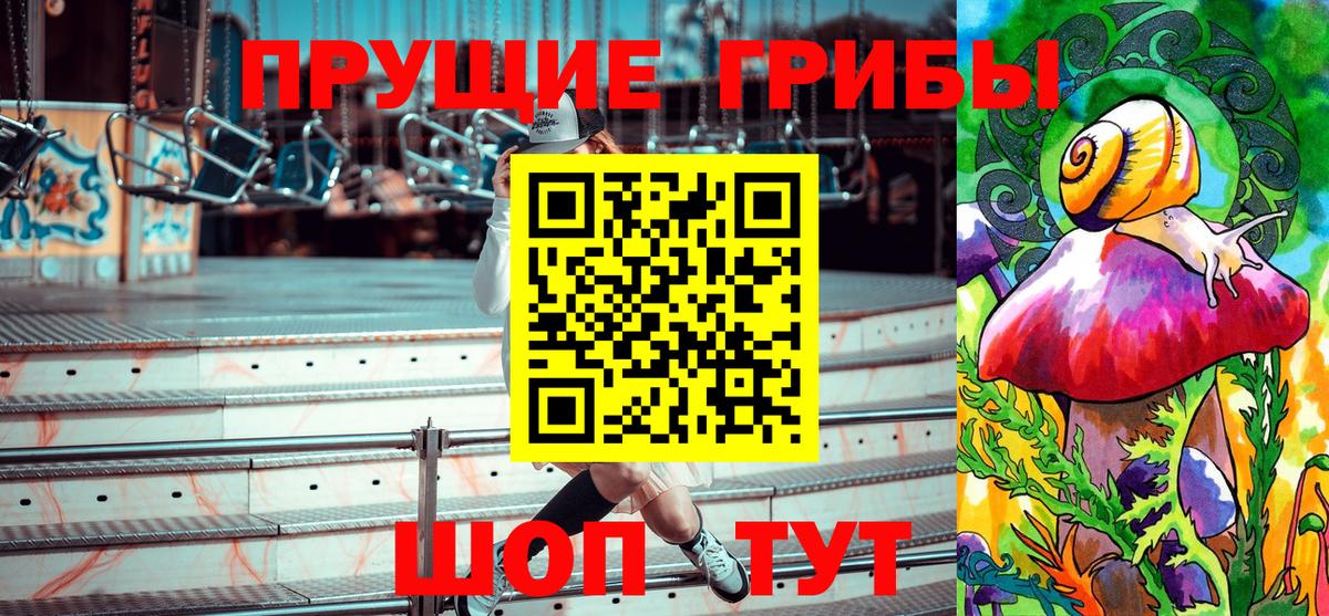 Ртищево  Галлюциногенные грибы прущие грибы  наркотики  Вход с VPN 